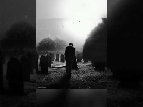 رقم واحد دا مش انت الجوكر