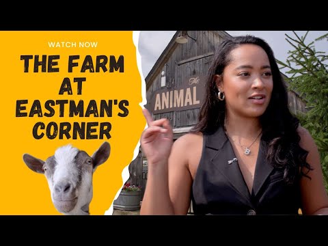5 Reasons to Visit Eastman's Corner for Farm Fresh Fun in NH