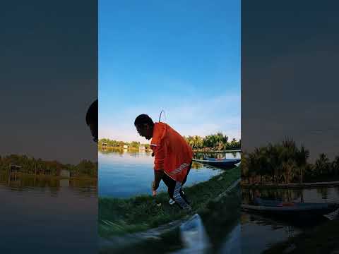 HANDING La Văn Cương TH3 - Bản Tổng Hợp