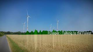 Talking to the Forest