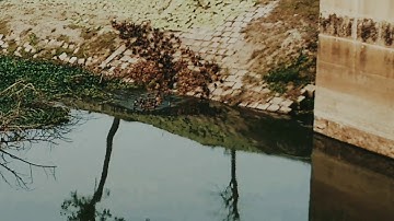 Unity ia strength.. when there is teamwork and collaboration, wonderful things can be achieved. ...