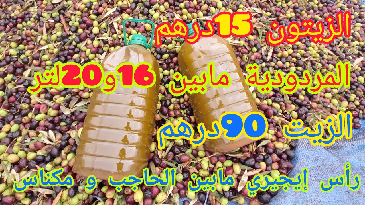 خيرات الزيتون برأس إيجيري مابين مكناس والحاجب الثمن 15درهم المردودية مابين 16 و20 لتر