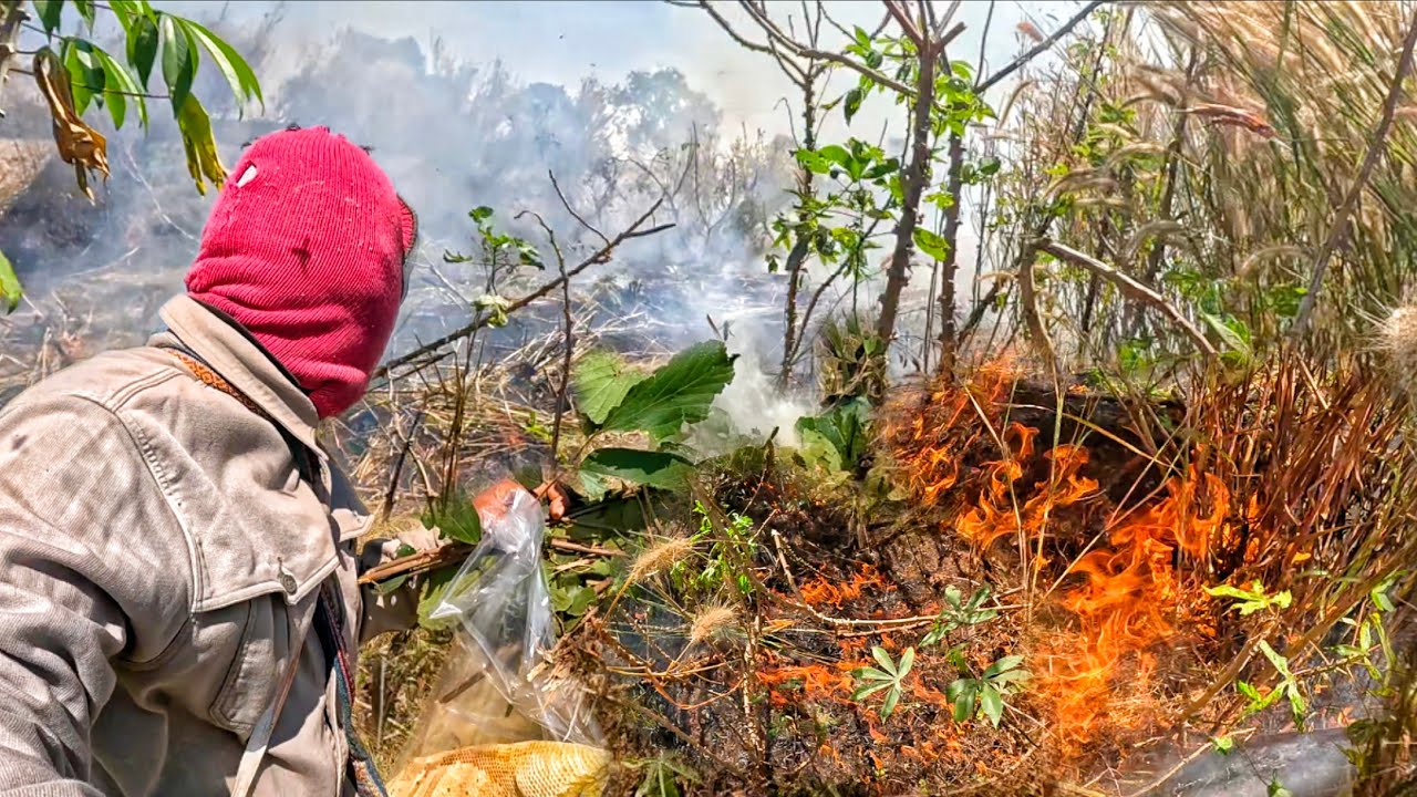 ซวยแล้วรอบนี้ ไฟไหม้ป่ามันเขา ผึ้งก็ดุ รุมต่อยไม่หยุด 