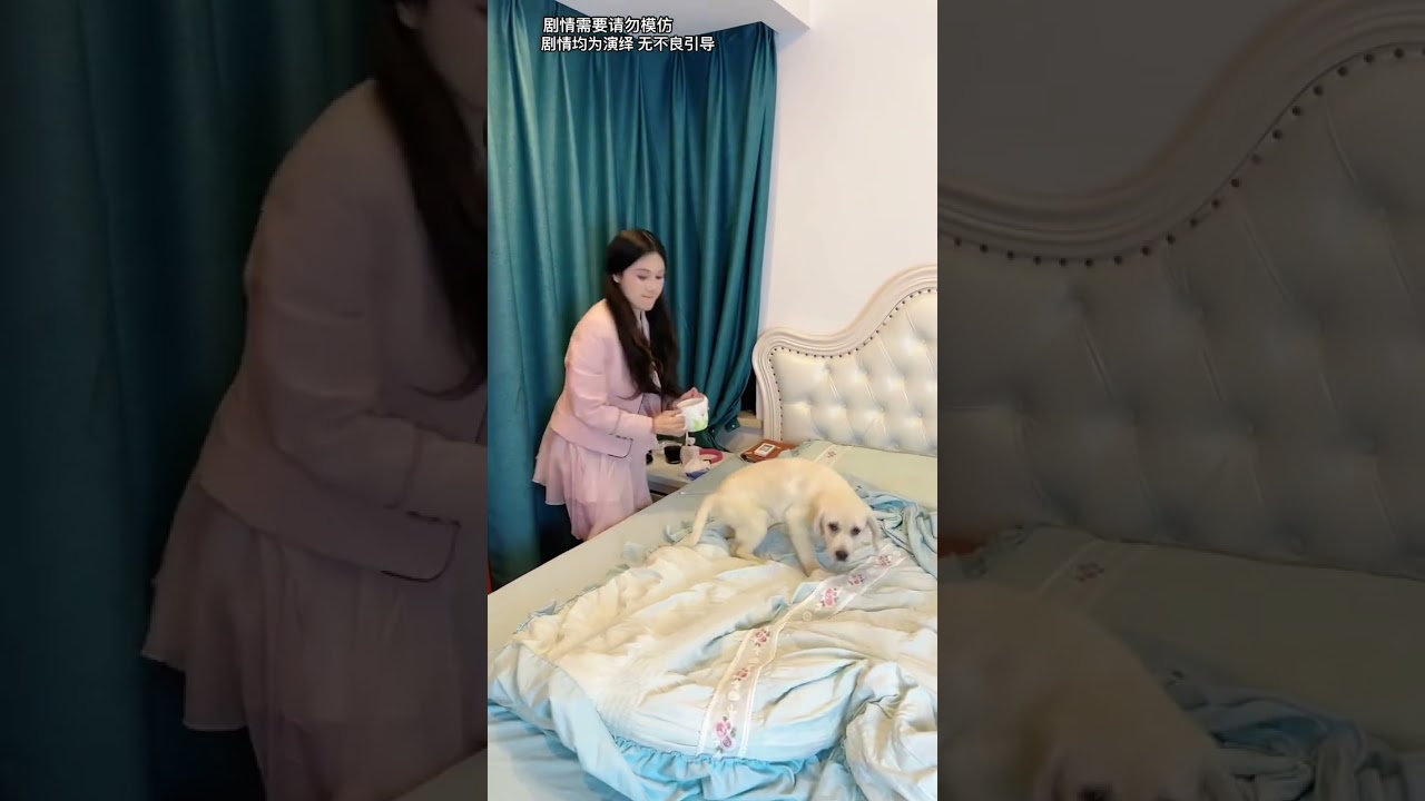 姐姐最后是不是做的太过分了呀#姐妹 #狗是人类最忠诚的朋友