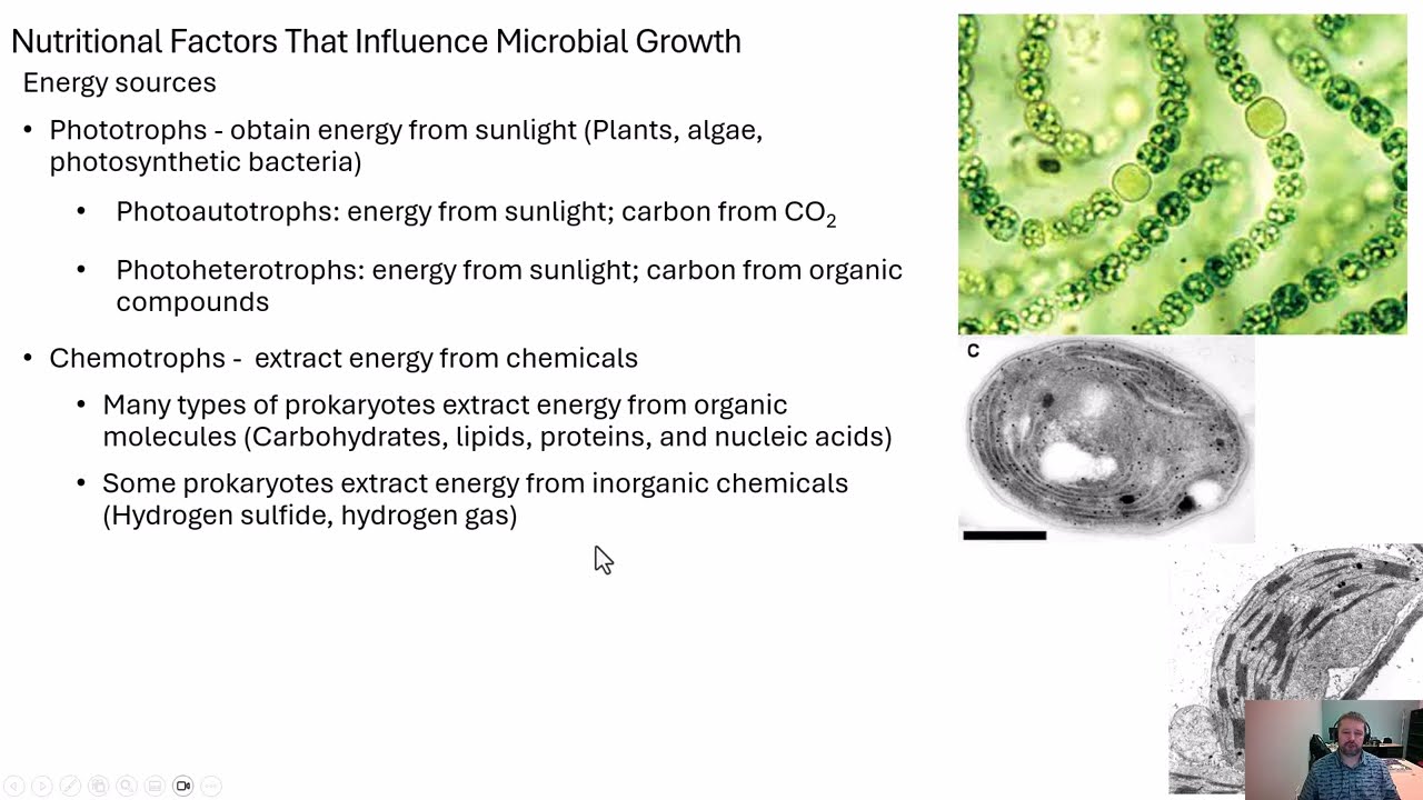 Microbiology Nutrition and Microbial Growth