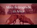 Mars Retrograde in Aries