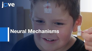 Sleep dependent memory consolidation measured using Neural Mechanisms | Protocol Preview