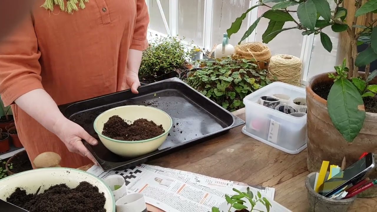 Tomattips 5, Bredså tomater och återanvända material