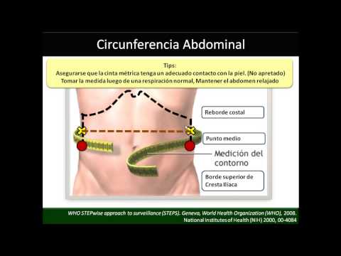 Circunferencia Abdominal y Cadera 📏