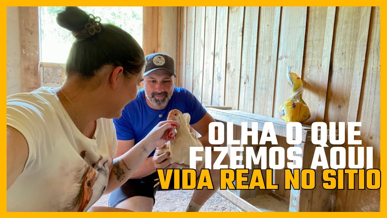 A reforma do galinheiro que mudou nossa rotina no sítio 🐓🐣