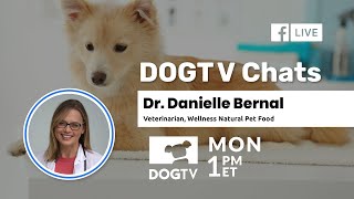 how do I keep my dog healthy? Dr. Danielle Bernal - Veterinarian, Wellness Natural Pet Food.