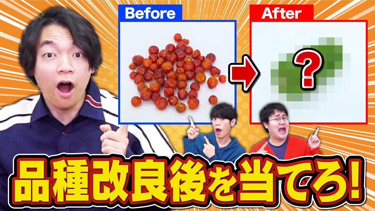 【激マズあり】品種改良「前」を食べて推測！これ何になるクイズ！