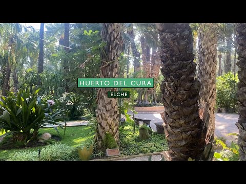 Vídeo: Cura Dels Pomers En Un Jardí Jove