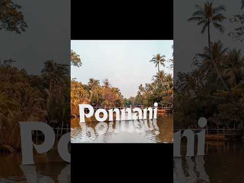 Mastering 3D Perspective Text: Canva Tutorial for Designers#designchallenge #design