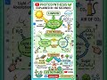 class 10 photosynthesis flowchart