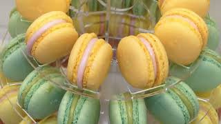 Adimix Na Fipan 2024