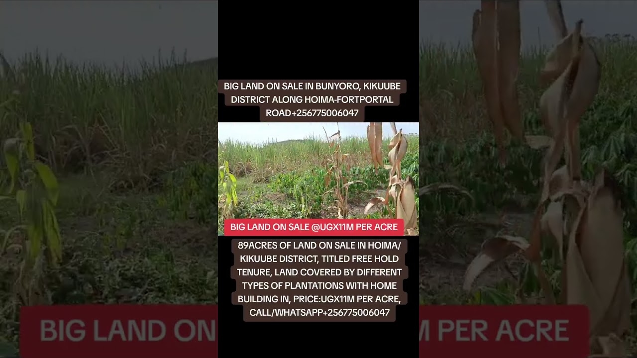 LAND ON SALE IN WESTERN UGANDA, KIKUUBE DISTRICT, CALL/WHATSAPP+256775006047