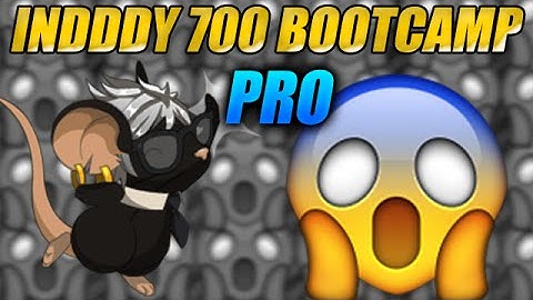 0.7K BOOTCAMP «PRO» | TRANSFORMICE