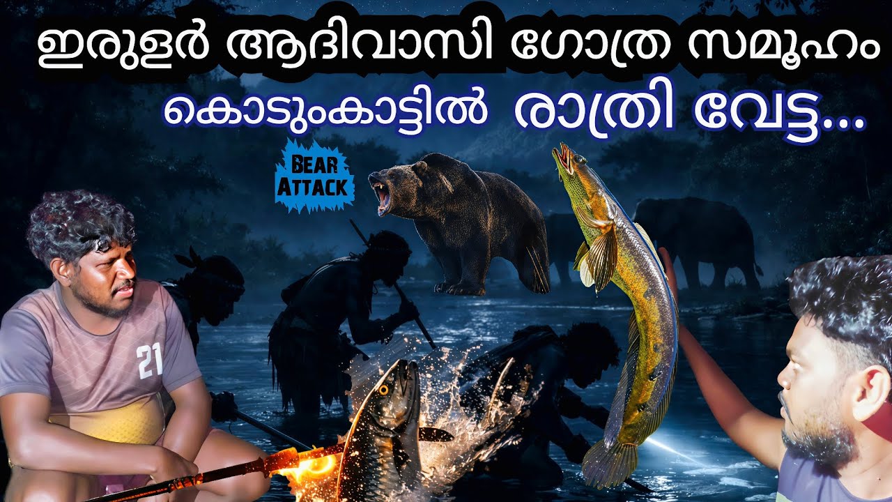 വ്യത്യസ്തമായ മീൻപിടുത്തം കൊടുംകാട്ടിൽ ഇരുളരുടെ കൂടെ...🐾 Night Hunting | Tribal Life in the Wild