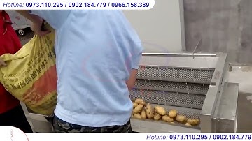 Bán Máy Cạo Rửa Rau Củ Quả Dạng Lô Bàn Chải CX45 Giá Tốt| Điện máy 3G