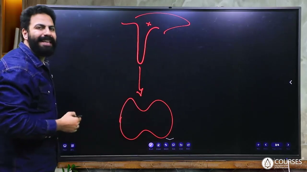 Thyroid Anatomy   Part 1