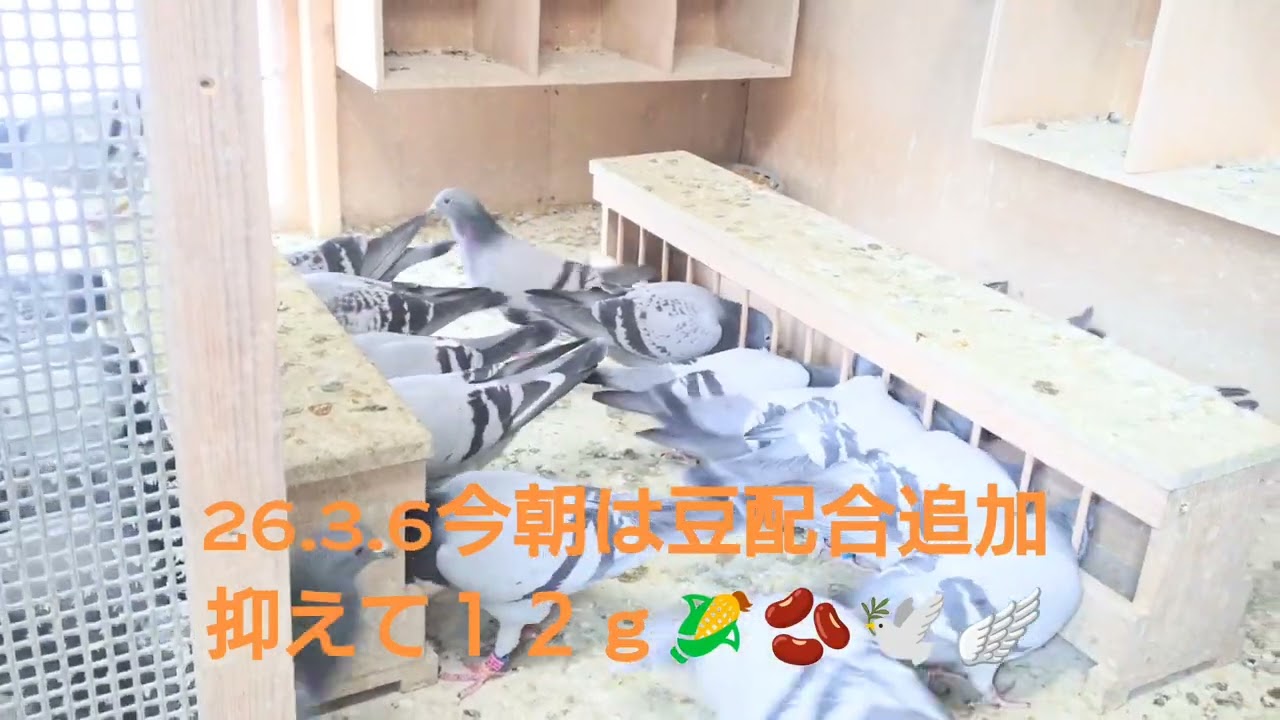 今朝は豆配合追加で抑えて１２ｇです(笑)