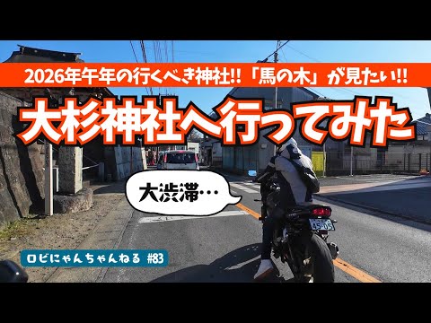 ロビにゃんちゃんねる - YouTube