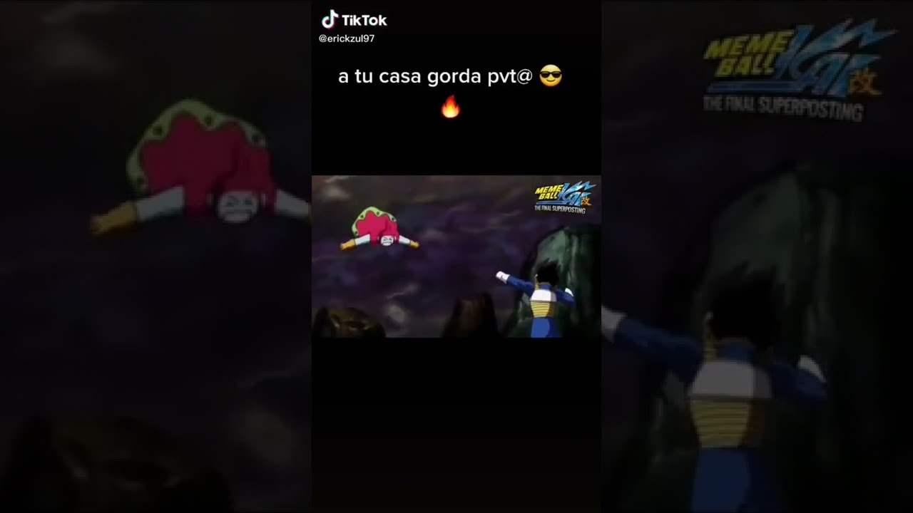 a tu casa gorda put* 