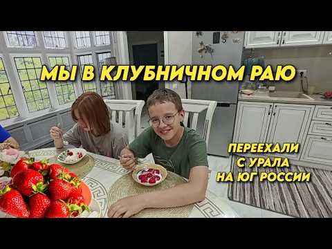 1160 Жизнь после переезда/Самосбор клубники/Обзор наших повседневных  дел