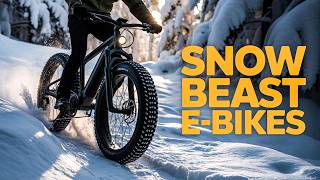 Top 6 Best Fat Tire E-Bikes For Snow 2026!