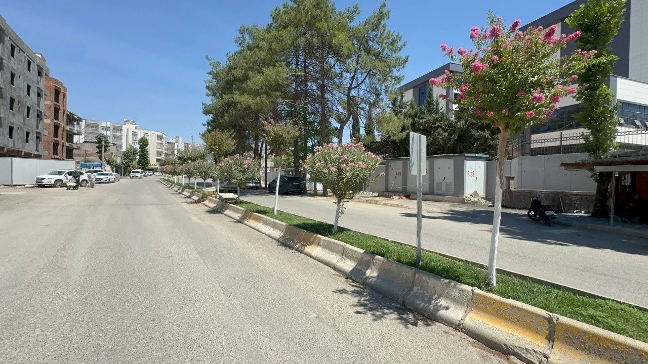 Başkan Tutdere’den yeşil dokuya koruma hamlesi: Ağaçlara kireçleme ve budama bakımı