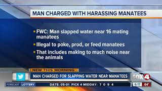 Splashing near mating manatees puts Florida man in hot water