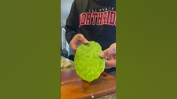 Thumbnail of I Eat A Cactus
