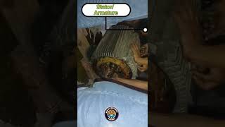 How To open Motor | Induction Motor Repair How To open Motor | Induction Motor Repair