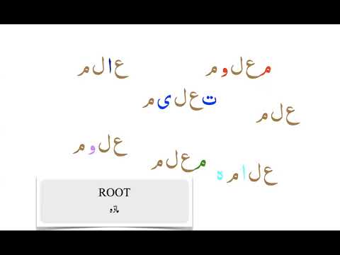Arabic Grammar 013 Root مادہ