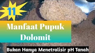 11 Manfaat Pupuk Dolomit Untuk Tanah Dan Tanaman Yang Amat Dahsyat