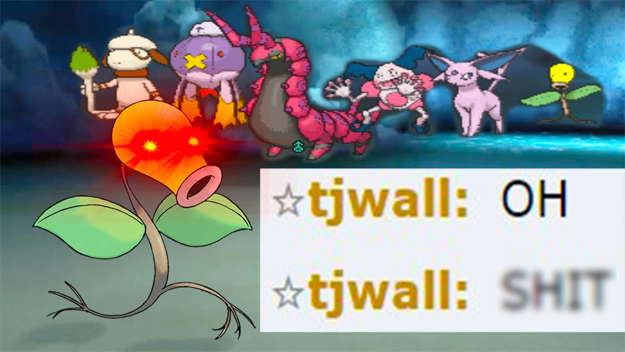 When you get swept by a Bellsprout