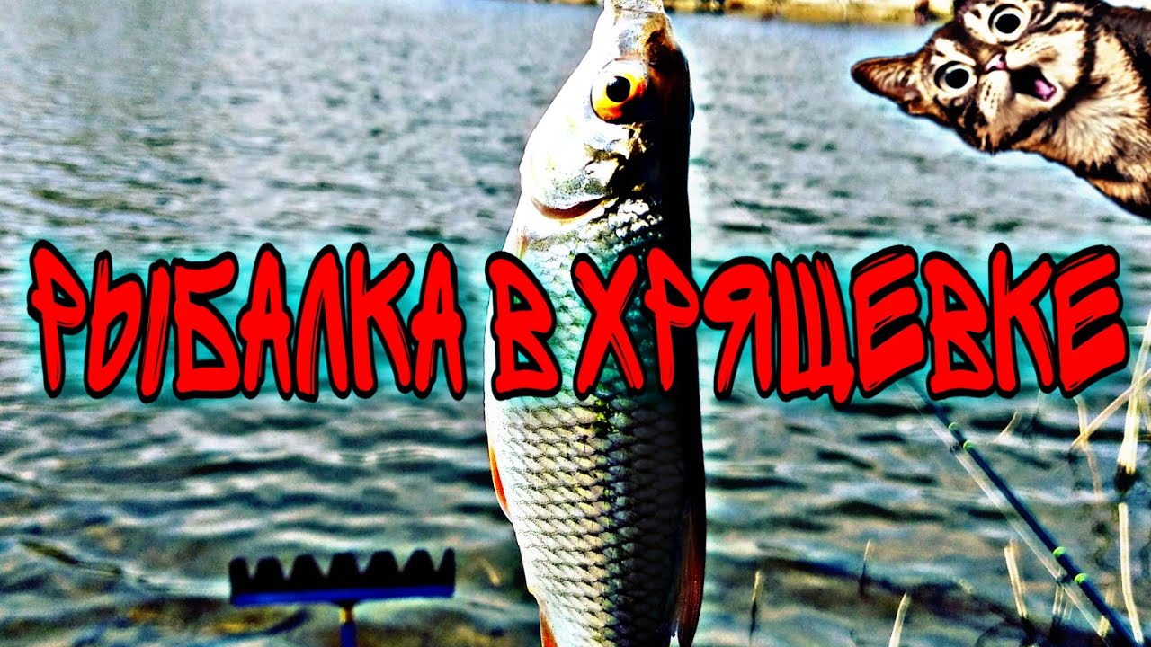 Рыбалка в Хрящевке - YouTube