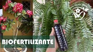 DIY - COMPOSTEIRA DOMÉSTICA PARA PRODUZIR BIOFERTILIZANTE: o ouro verde para as plantas