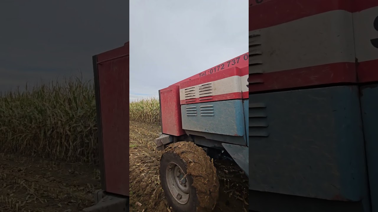 Mengele SF Häcksler mit 6 -Reihen Gebiss🌽💪🦣