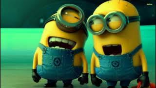 Video story wa minions 37 detik