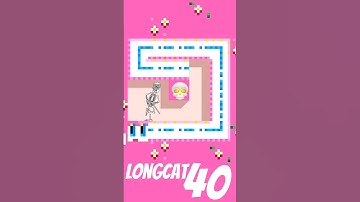 Longcat 40 Level 1: The Beginning of the Challenge!