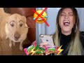 ⛔️NICHT LACHEN  BESTRAFUNG ⚡️| Edyyy TV