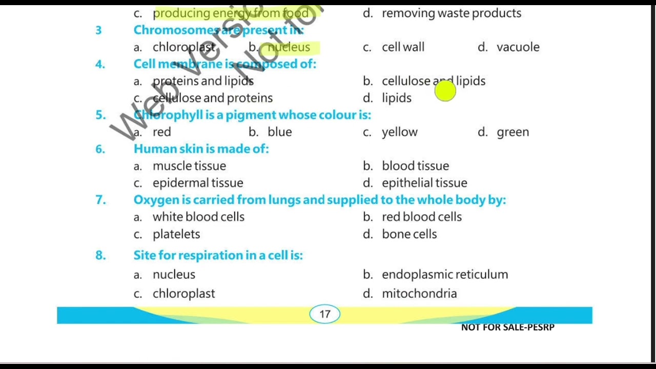 Cellular Organization MCQs: Test Your Knowledge | Class 6 PCTB