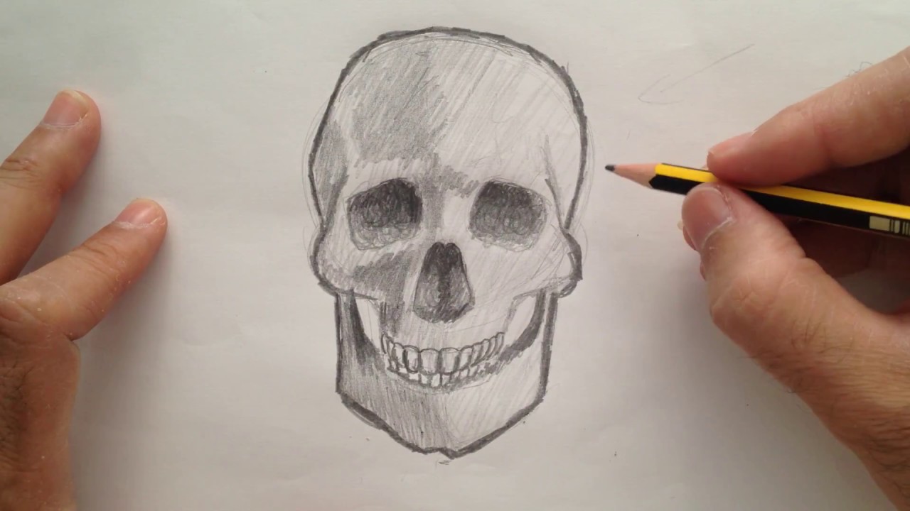 Cómo dibujar una calavera - thptnganamst.edu.vn