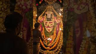 Aum Narayanah 💫#shortsviral #jaishreeram #govinda #tirupatibalaji #balaji #venkateswara #radheradhe