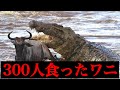 ３００人食った伝説のワニギュスターヴ【体重1トン！？】