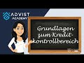 SAP | Grundlagen zum Kreditkontrollbereich