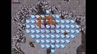 Tibia: Bullwark killed on Berylia by Berylian Friends & Kongs