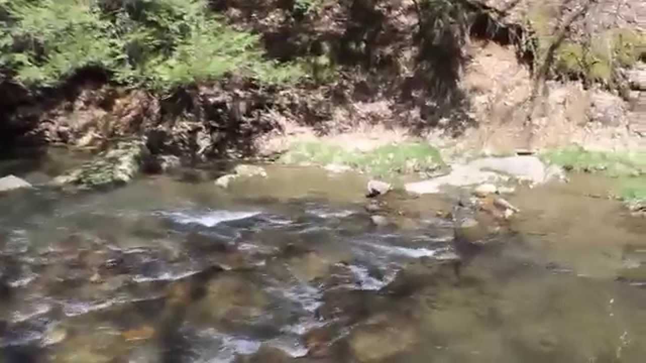 Tour of a Primitive Cabin at Allegany State Park by Paul Crawford